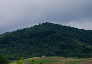 007-covasant-tornea