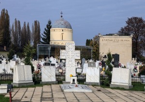 Mormântul lui Vasile Goldiş